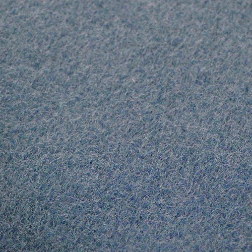 	
				
				
	Thermogeformter Teppich für Golf 2, 3-Türer, in Blau - GB26932
