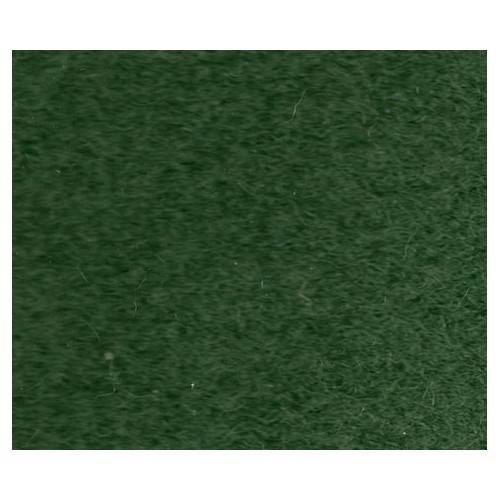 	
				
				
	Thermogevormd tapijt voor Golf 2, 3 deuren, in groen - GB26936
