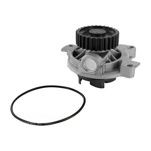  Water pump for Audi 80 and Audi Coupé Quattro - AC55024 