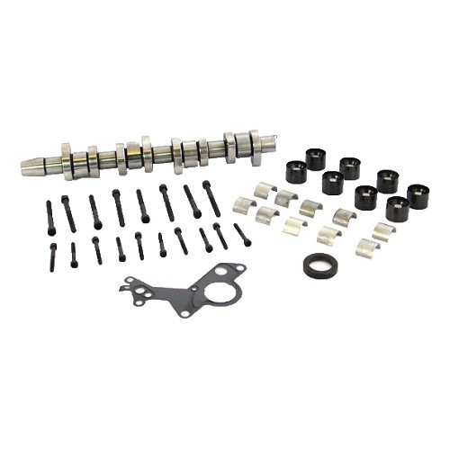     
                
                
    Kit arbre à cames BGA pour Audi A3 (8P) 1.9 TDI - AC60137
