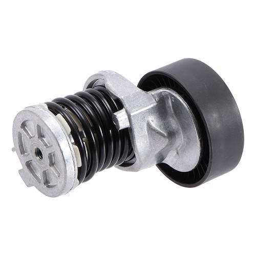 Tenditore della cinghia ausiliaria per Audi A4 (B6) - AD28021