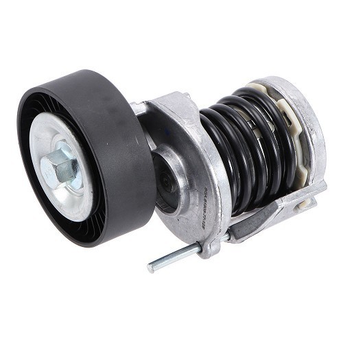     
                
                
    Accessory belt tensioner for Audi A4 (B6) - AD28021
