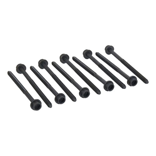     
                
                
    Viti della testata per Audi A3 (8P) 1.6 FSi - AD83042
