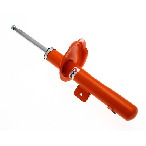     
                
                
    Ammortizzatore KONI per Peugeot 206 - Anteriore sinistro - AMK00124
