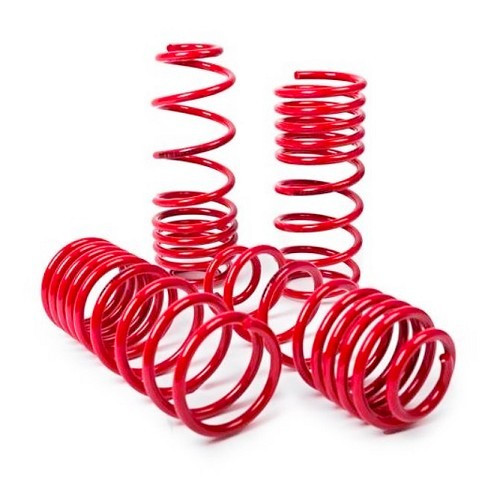     
                
                
    Short spring kit front and rear -45/-45mm MTS Technik for Audi A3 8P 2.0TFSI and 2.0TDI (03/2003-10/2012) - standard chassis - AS10024
