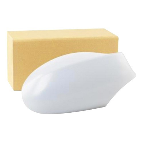     
                
                
    RIDEX right mirror cover for BMW 1 Series E81, E82, E87, E88 (02/2006-09/2009) - BA14835
