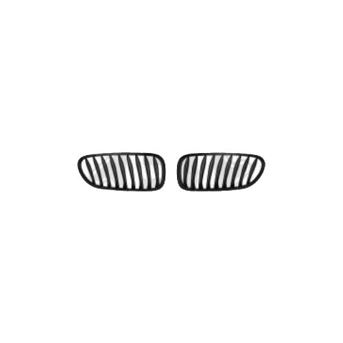     
                
                
    Black front grille for Bmwz4 E85 Roadster and E86 Coupé (04/2002-08/2008) - BA18008
