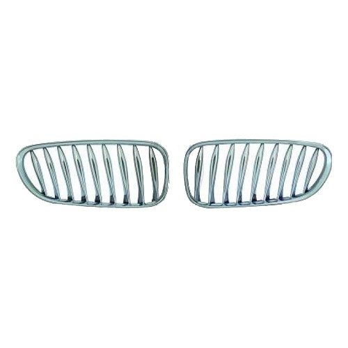     
                
                
    Chrome front grille for Bmw z4 E85 Roadster and E86 Coupé (04/2002-08/2008) - BA18100
