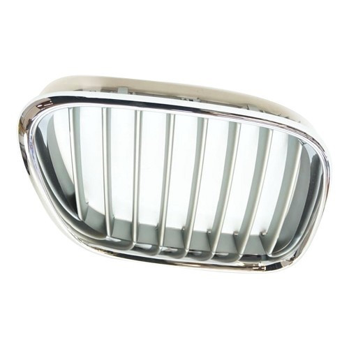  Right titanium grille for BMW X5 E53 up to ->10/03 - BA18428 