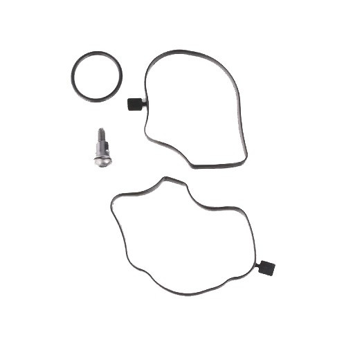 Ridex oil separator for Bmw x5 E53 Phase 1 (01/2000-09/2003) - BC53213