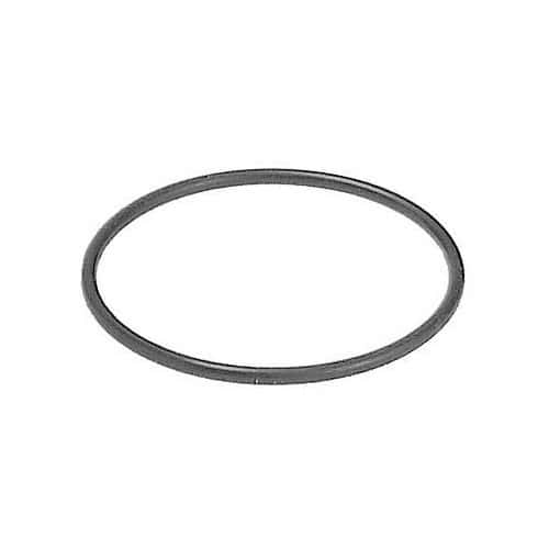  Thermostat seal for BMW - BC55710 