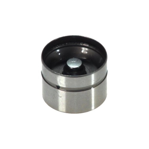     
                
                
    INA hydraulic tappet for Bmw x3 E83 (01/2003-07/2006) - M54 - BD21457
