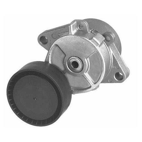  Tensioner with water pump and alternator pulley for BMW X5 E53 - BD30311 