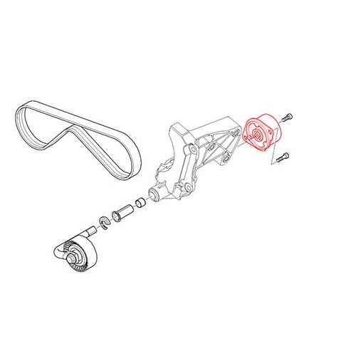 Tenditore della cinghia del climatizzatore per BMW E46 - BD30321