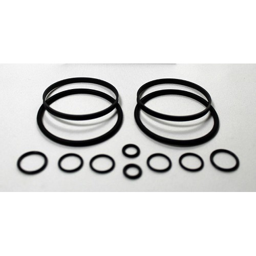  Seal kit for the renovation of dual Vanos systems for BMW M62TU engines - BD71437 