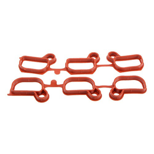     
                
                
    Intake manifold gaskets for Bmw 7 Series E38 (09/1998-07/2001) - M52TU - BD71492
