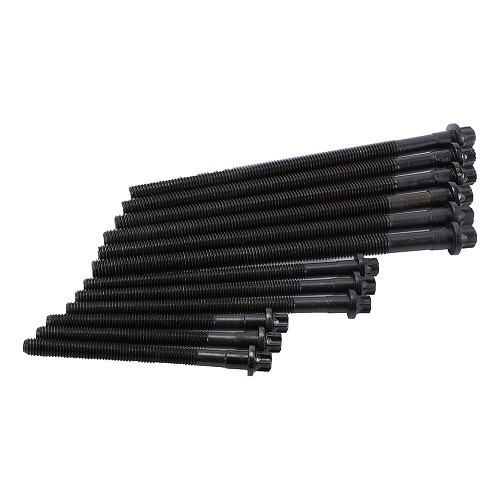     
                
                
    Set di 12 viti della testata per BMW Serie 1 E87 4 cilindri benzina (-01/2007) - motori N45 e N46 - BD83809
