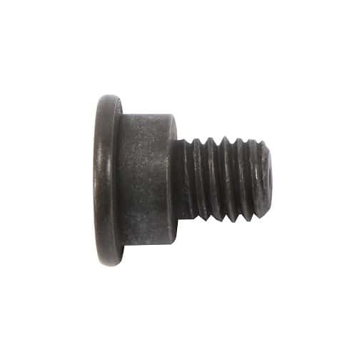  Brake disc locking screw - M8 x 14 - BH27310-1 