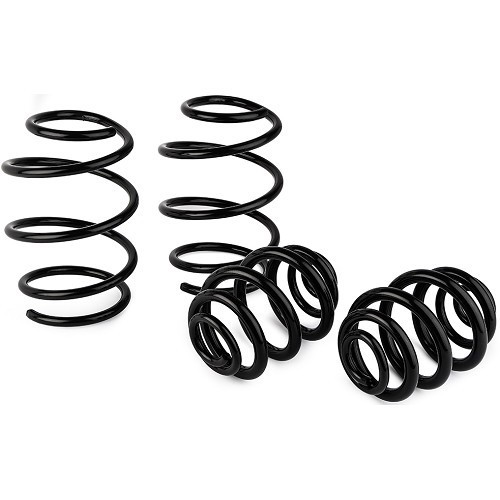  Kit of 4 short Eibach springs -30mm for BMW E46 316i,318i and 318Ci - BJ53220 