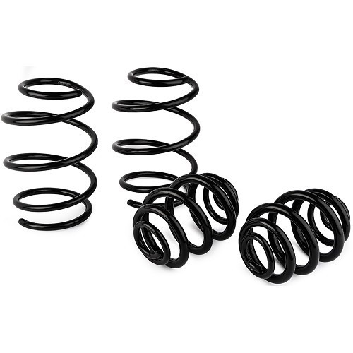     
                
                
    Kurze Federn Eibach -30mm für BMW E46 316i,318i und 318Ci - pro 4 - BJ53220
