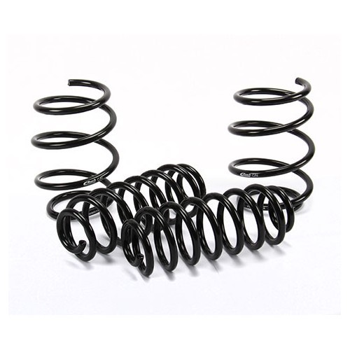     
                
                
    Jeu de ressorts EIBACH pour BMW E39 525D Break - BJ53278
