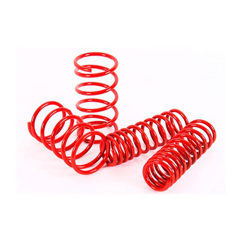     
                
                
    Short suspension springs for BMW series 5 E28 - BJ53298
