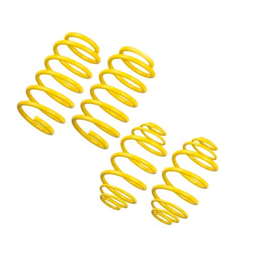     
                
                
    Set di 4 molle corte ST Suspension per BMW E30 Touring a 6 cilindri - BJ56150
