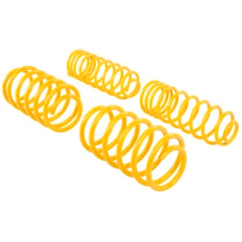     
                
                
    Kurze Federn ST SUSPENSIONS für BMW Serie 3 E46 Touring 4-Zylinder-Benzinmotor (05/1998-07/2005) - pro 4 - BJ56340
