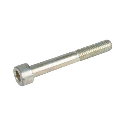  Cylinder screw - C130081 