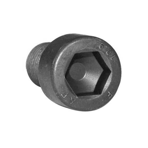1 WBX flywheel screw for Transporter 1.9 / 2.1 - C133597