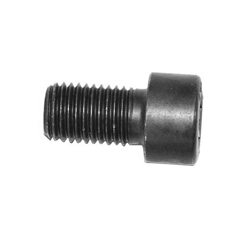 1 WBX flywheel screw for Transporter 1.9 / 2.1 - C133597