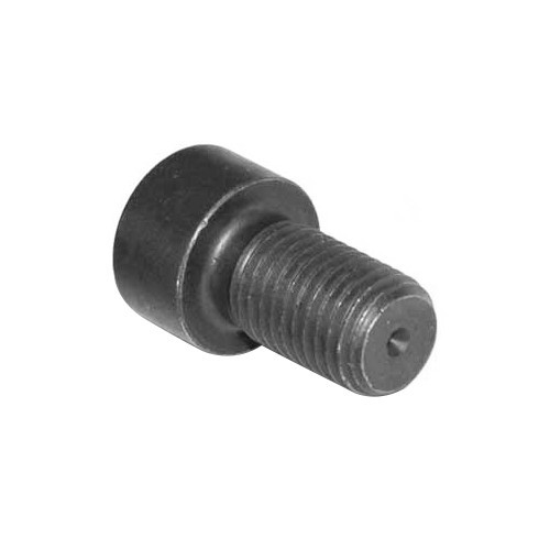  1 WBX flywheel screw for Transporter 1.9 / 2.1 - C133597-3 