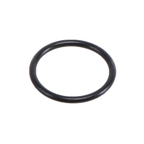  Seal ring condenser - C220024 