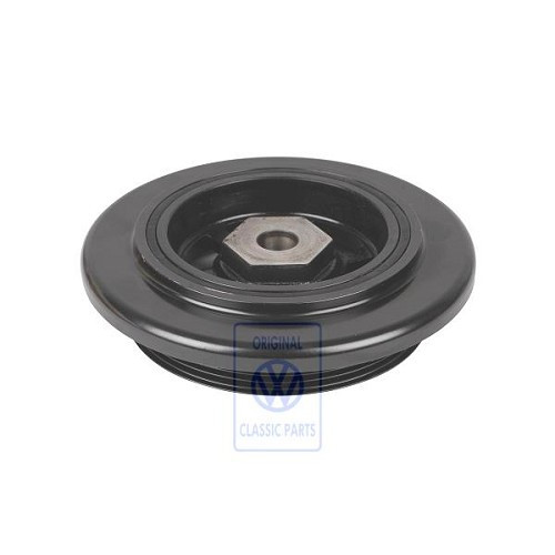     
                
                
    Poulie Damper pour Golf 5 R32 V6 3.2 - C291262
