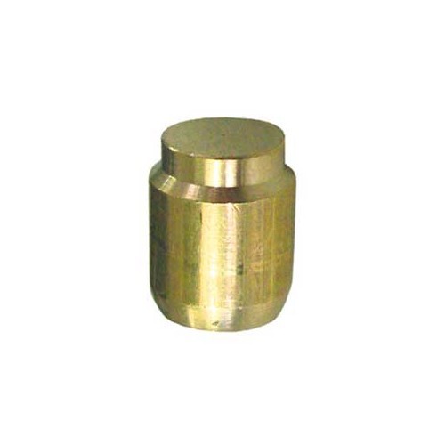  Bouchon obturateur gaz TRUMA diam 8 mm - CB10034 
