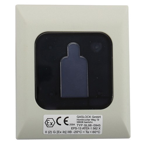 Regolatore di gas GASLEVEL con display LED a 12 V - CE10027