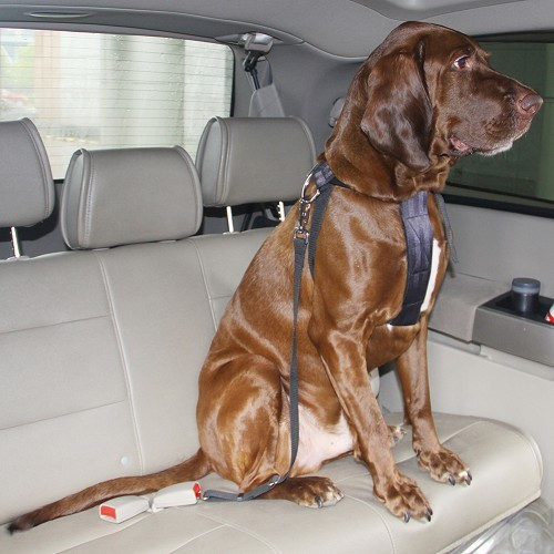  Harnais de sécurité pour grands chiens (80-110 cm) - CF13553-3 