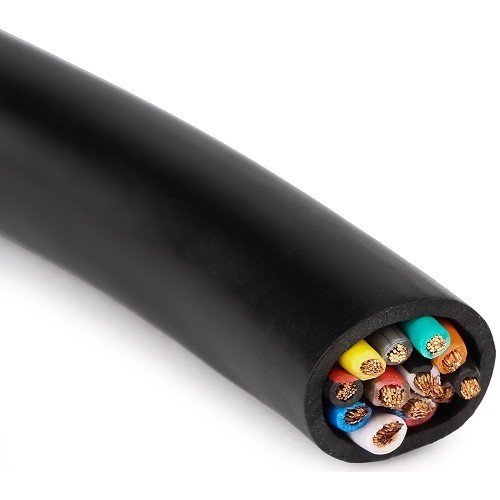     
                
                
    Cavo multi-flex a 13 conduttori - 9x1,5 4x2,5mm² - al metro - CT10801
