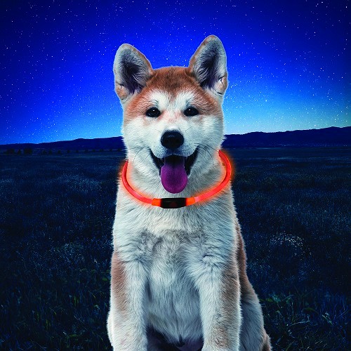  NITEHOWL Safety Necklace NITE IZE for dogs - neon orange - CT10820 