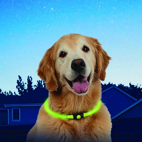  NITEHOWL Collana di sicurezza NITE IZE per cani - Verde fluorescente - CT10821 
