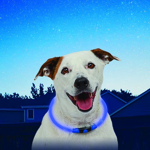  Collier NITEHOWL Safety Necklace NITE IZE pour chiens - Bleu - CT10822 