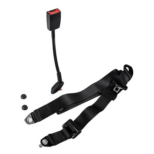     
                
                
    Left 3-point belt without retractor for AMI6 and AMI8 (04/1961-03/1979) - CV55011
