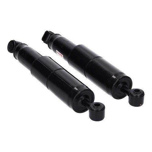     
                
                
    Pair of RECORD gas shocks for AMI 6 Berline (04/1961-03/1969) - 12mm - CV65019
