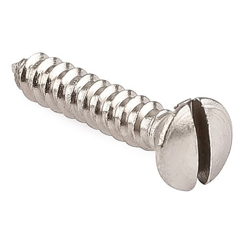  Slotted screw for securing ROBRI shoes - CV70008 