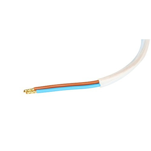 Tauchpumpe POWER JET REICH 12V 22l min -Für Wohnmobile und Wohnwagen - CW10045