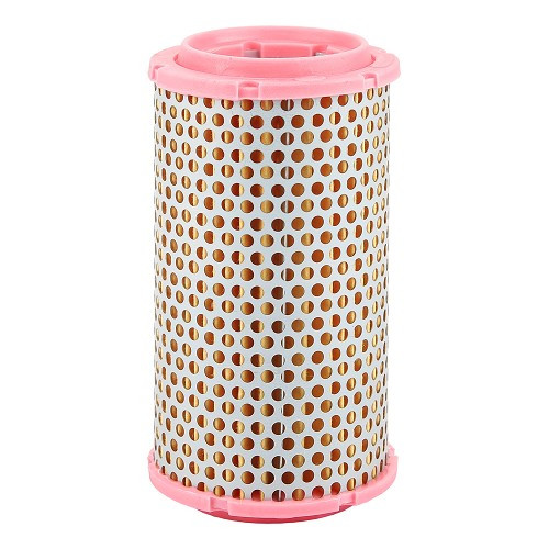     
                
                
    Filtro aria Mann Filter per Fiat 500 D, F, L e R (1960-1975) - FI50102
