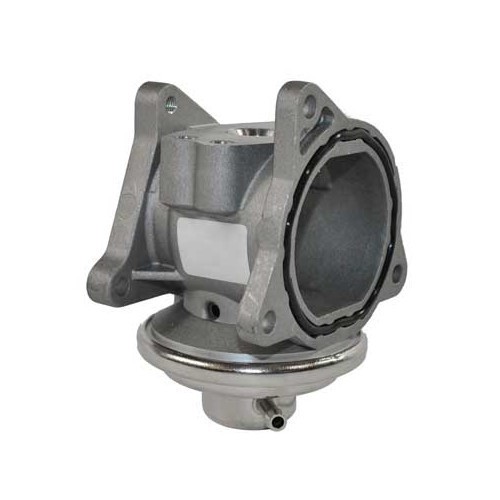  EGR/AGR valve for Seat Leon 1M - GC28060-5 