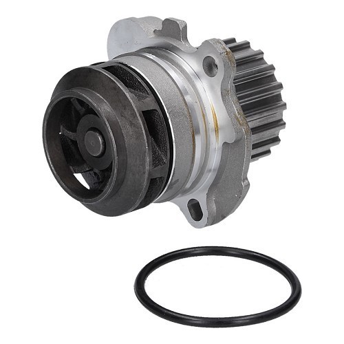  Complete water pump for Seat Ibiza 6K - GC55352-1 