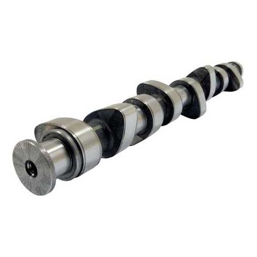 Camshaft For Golf Gti 1.8 8S K-Jetronic With Hydraulic Push Rods - Gd20400  Catcams - Mecatechnic.com