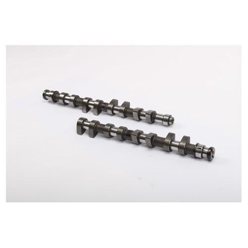  Sport camshafts for GTI 16S engine - 2 pieces - GD20600-2 